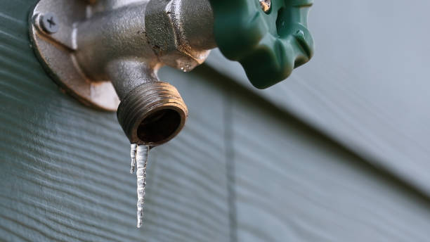 Best Plumbing Repair Near Me  in Franklin, TN